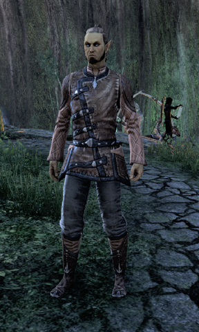 File:Elwintinar.png