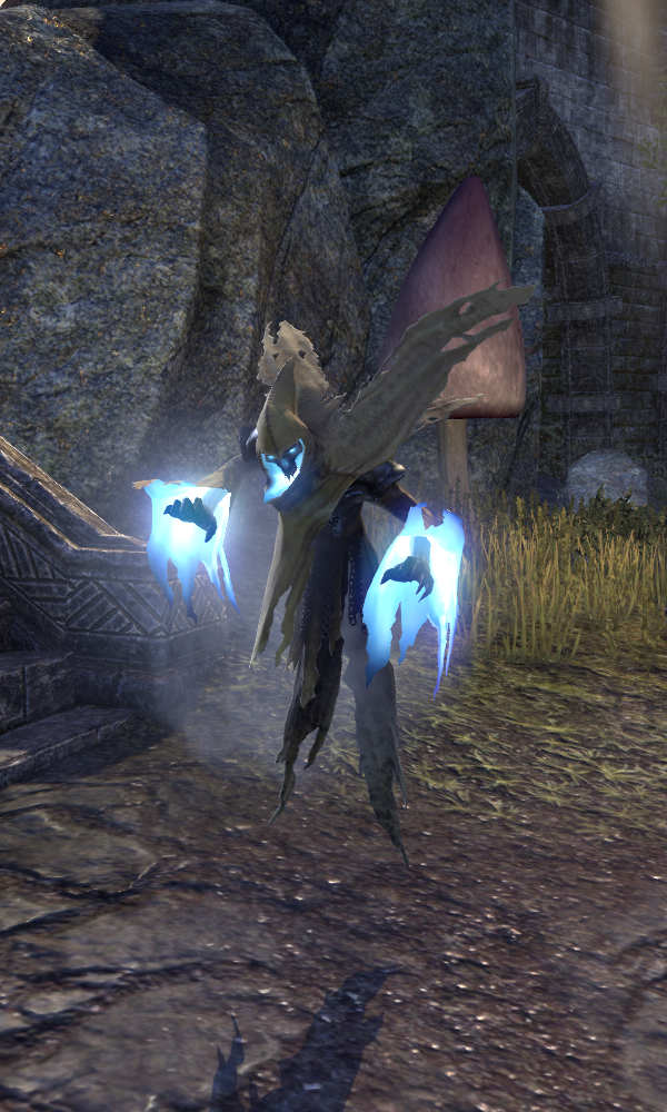 Wraith (Online) | Elder Scrolls | FANDOM powered by Wikia