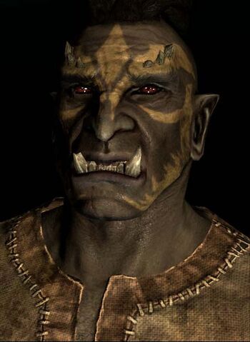Dosya:SR-race-M-Orc.jpg
