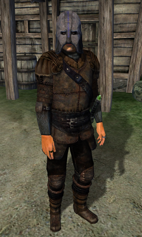 File:Gray Fox 2.png