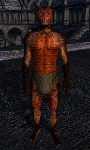 File:TESIV Character Derek.png