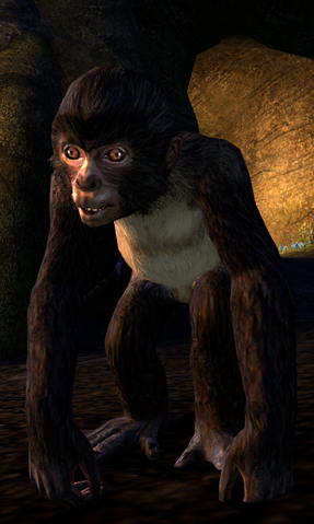 File:ESO Nuttall.png