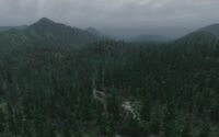 Gold Road
