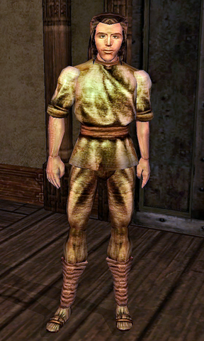 File:Vongvild.png