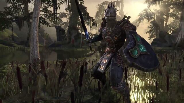 File:Argonian warrior.jpg