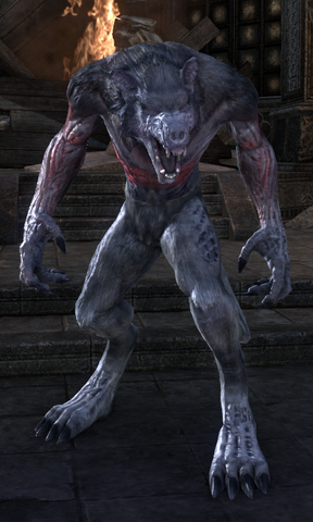 File:Faolchu.png