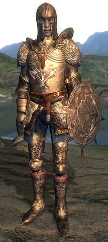 File:BlackArmor.jpg