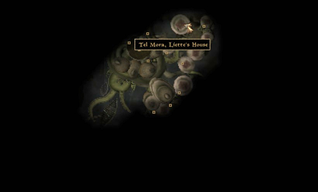 File:Liette's HouseMapLocation.png