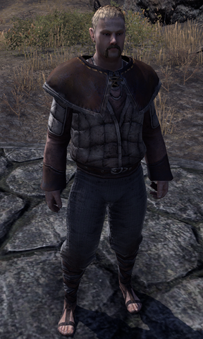 File:Scholar Cantier.png