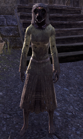File:Umisashi.png