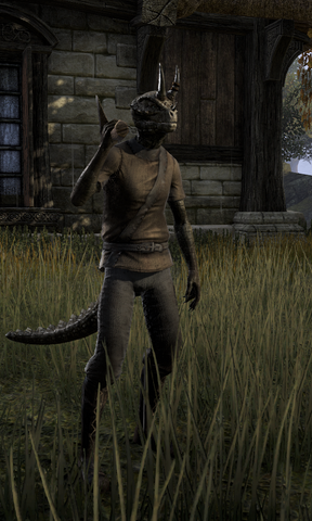 File:Bosekus Sun-Belly.png