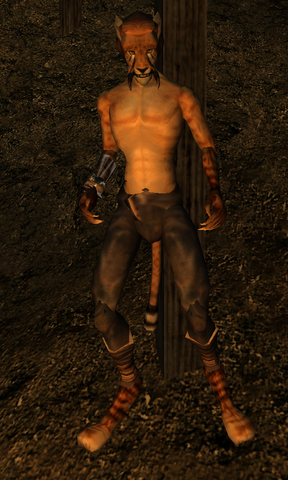 File:J'Jarsha.png