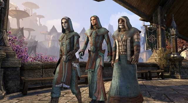 File:Mages Guild Costume Pack.jpg