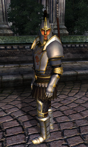 File:TESIV Guard Palace Guard.png