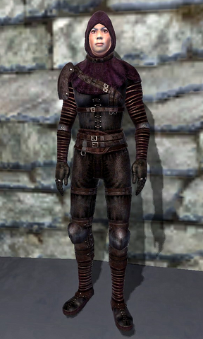 File:DarkBrotherhoodShrouded Armor.png
