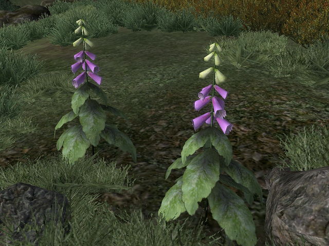 File:Foxglove Nectar.png