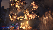 The Hidden Harvest 9