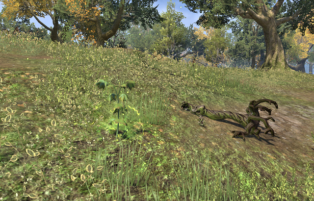 File:The Wyrd Tree's Roots nourished.png