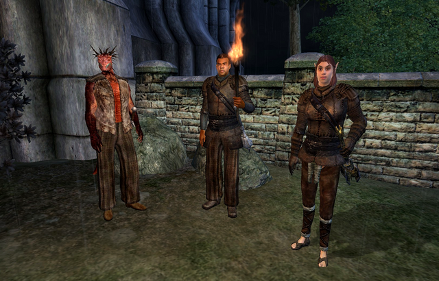 File:Finding the Thieves Guild.png