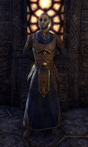 File:Instructor Murilen.png