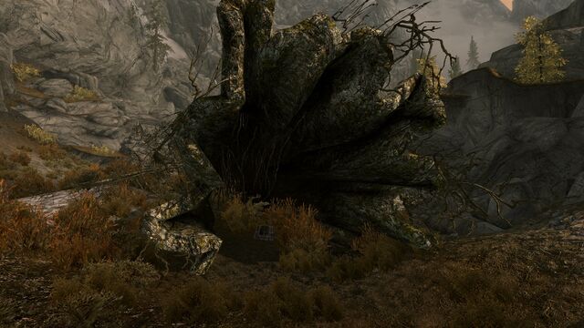 File:Money Tree.jpg