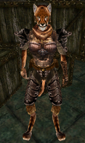 File:Shunari Eye-Fly.png