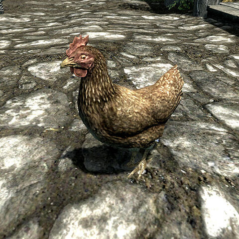 File:600px-SR-creature-Chicken.jpg