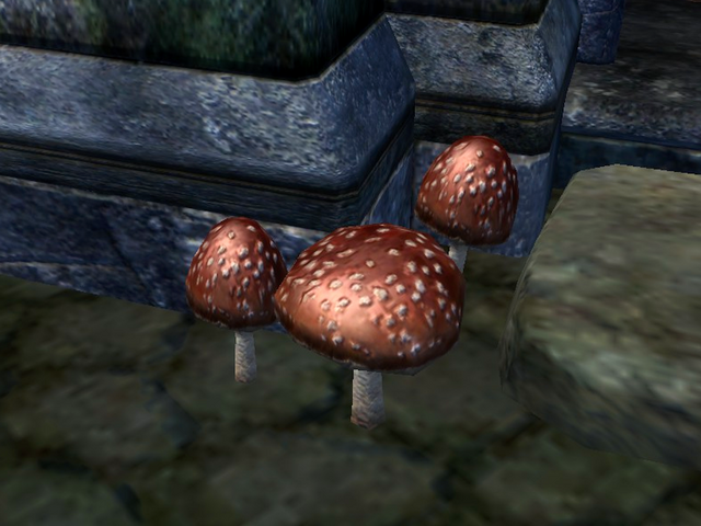 File:Fly Amanita.png
