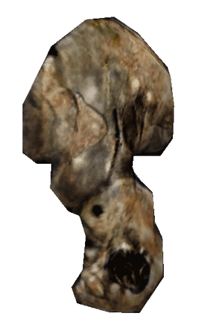 File:NordicTrollboneShield.png