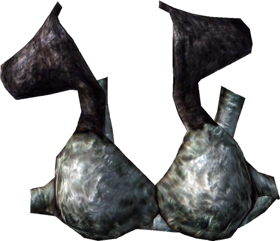 File:Vest of Warding.png