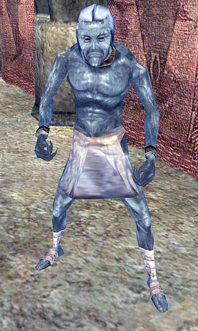 File:Ash Slave.png