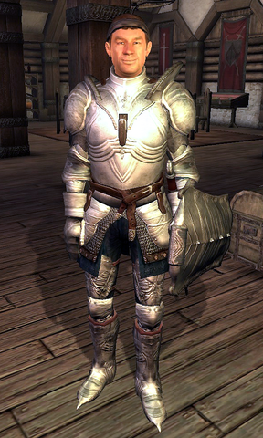 File:Fighters Guild Porter Bruma.png