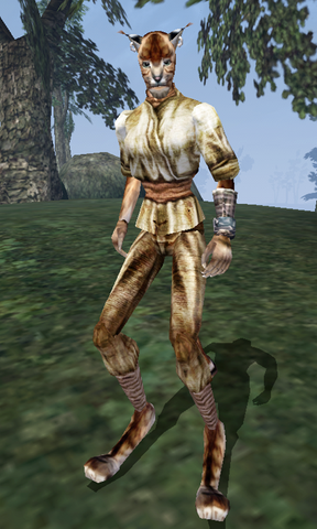 File:Abanji - Morrowind.png