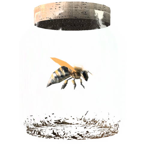 File:TESV Bee In A Jar Crop.png