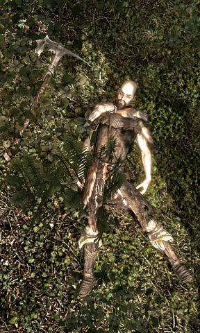 File:Wood Cutter (Falkreath).png