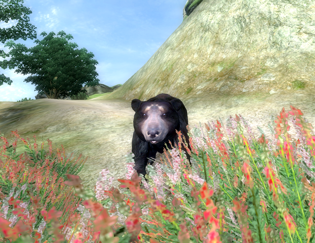 File:Bear Season.png