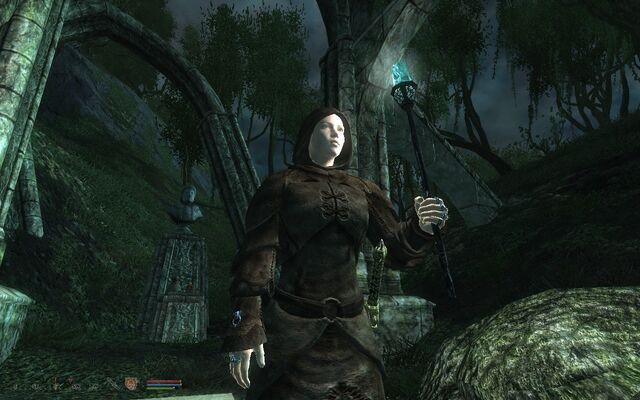 File:Shivering Isles zealot.jpg