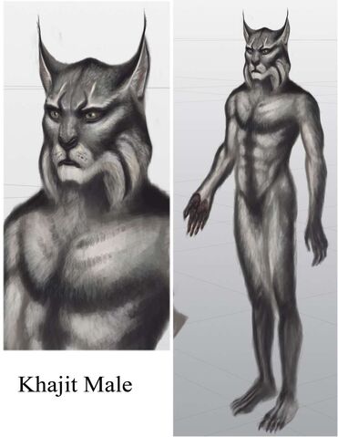 File:TESV Concept Khajiit Male.jpg