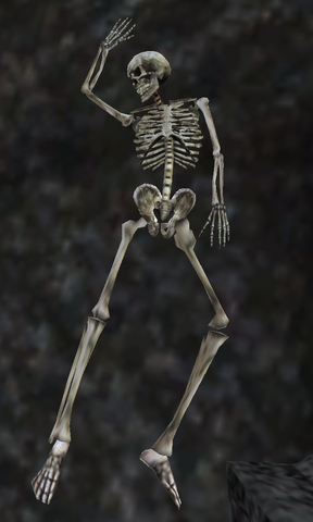 File:Linus Iulus.png