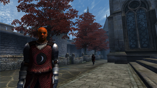 File:TESIV Guard Skingrad 2.png