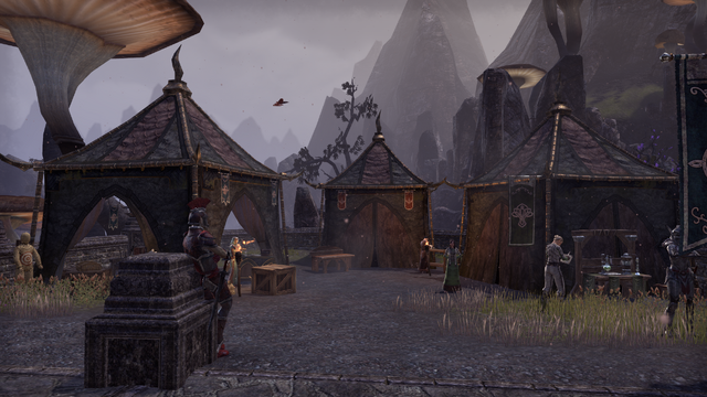 File:Kragenmoor Mages Guild.png