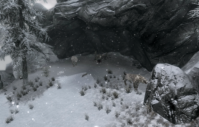 File:Haafingar Sabre Cat Lair.png