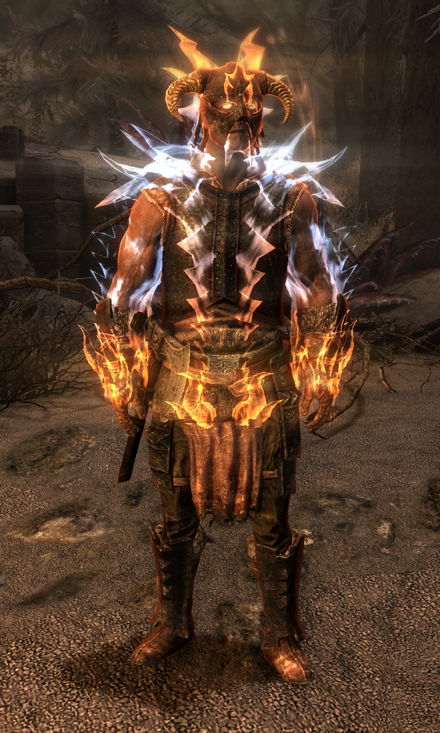 File:Player Dragon Aspect.png