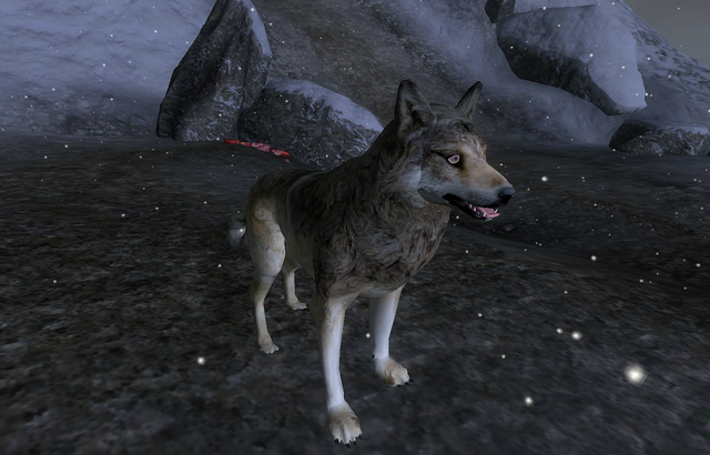 File:Redmaw.png
