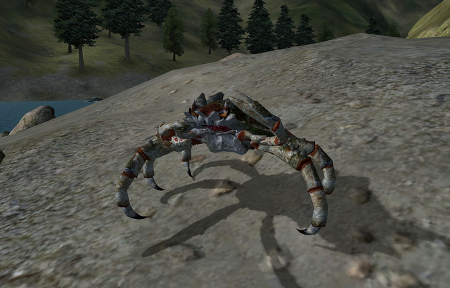 File:Cyrodillic mudcrab.png