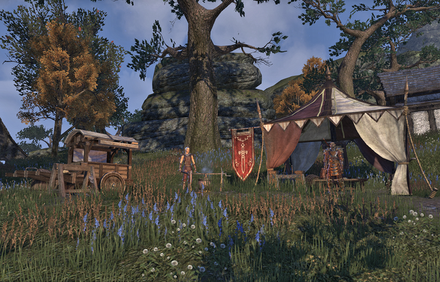 File:Fighters Guild Alcaire Castle.png