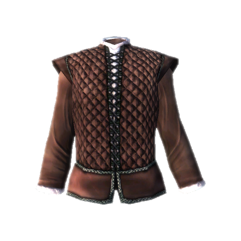File:ResistnormalweaponsquilteddoubletOblivion.png