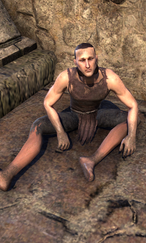 File:Reberio Hertarian.png
