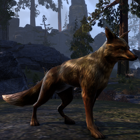 File:ESO Fox.png