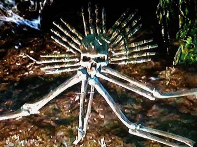 File:User ODragono01.jpg